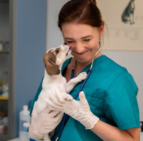 Dr. Katona Ramóna beutatkozás