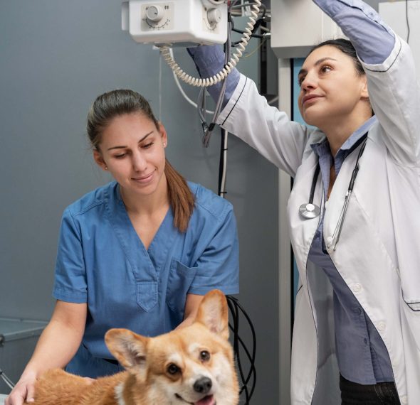 Az ellátáts folyamata